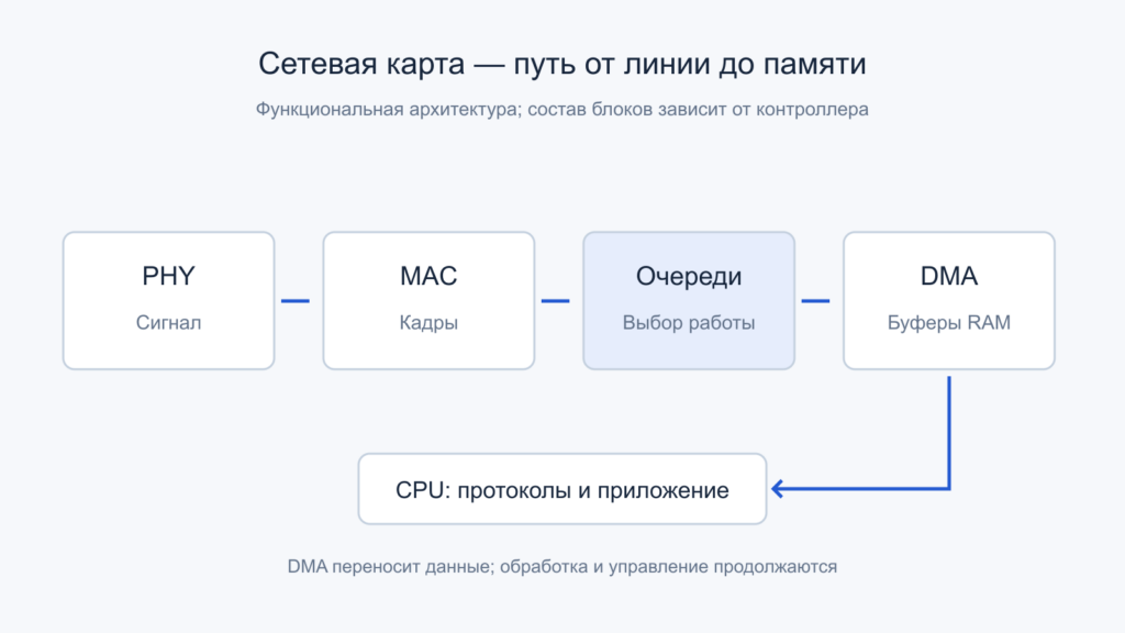 Функциональный путь сетевого адаптера: физический сигнал, кадры MAC, очереди и размещение данных DMA.